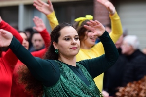 facebook-carnaval-2026_384