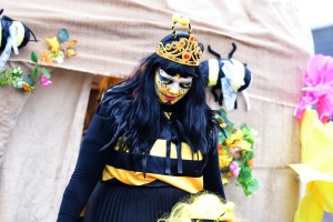 facebook-carnaval-2026_419